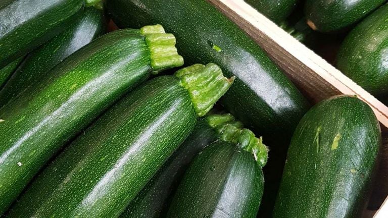 Mix de légumes d'été