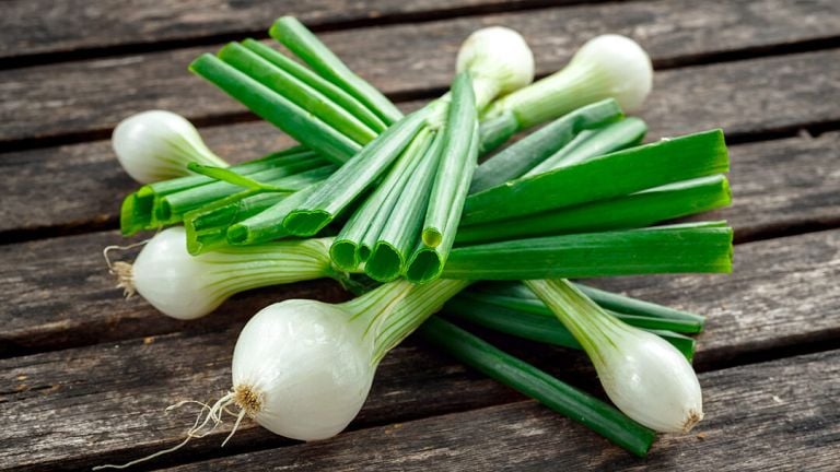 Botte d'oignons nouveau blancs