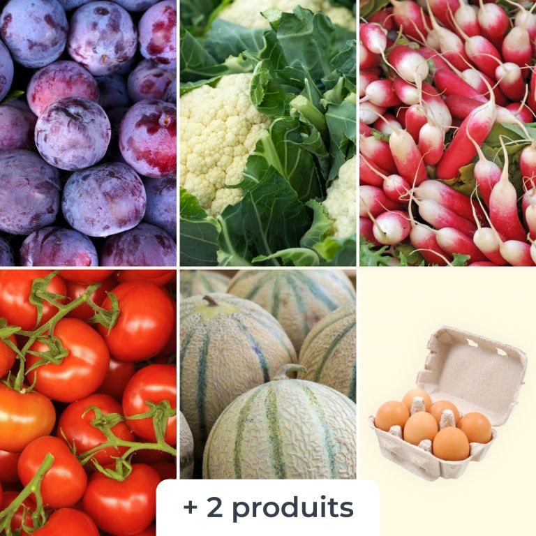 Mélange de fruits & légumes (+6 oeufs bio)