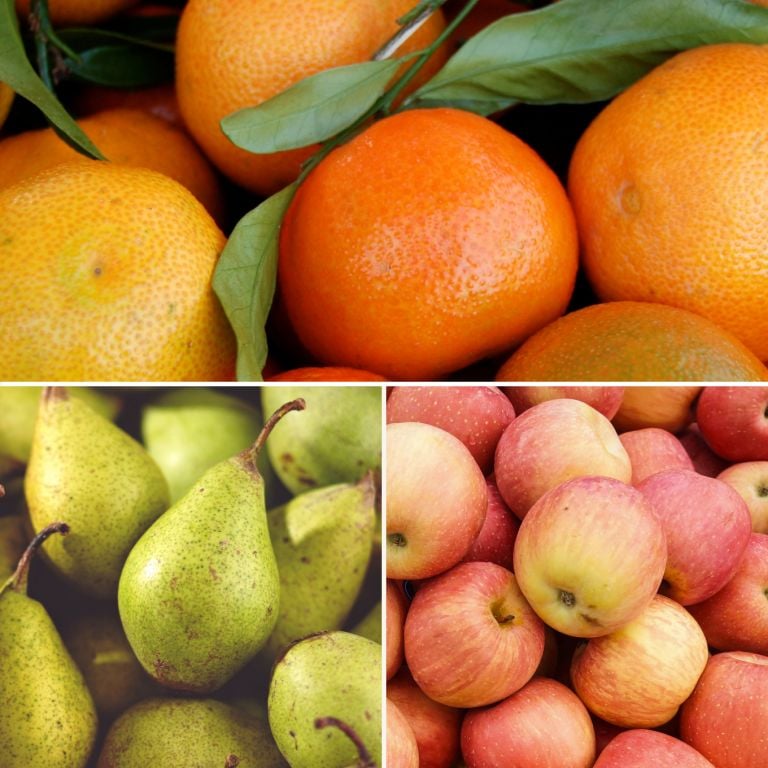 Petit mélange de fruits
