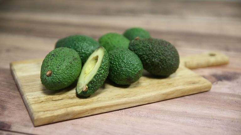 Avocats bio