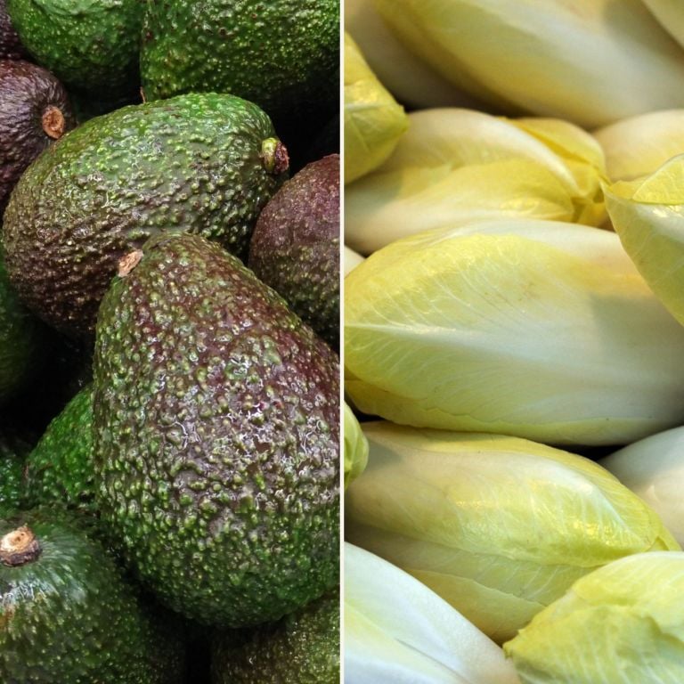 Avocats Hass bio & endives