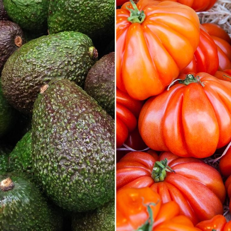 Avocats Hass & tomates anciennes