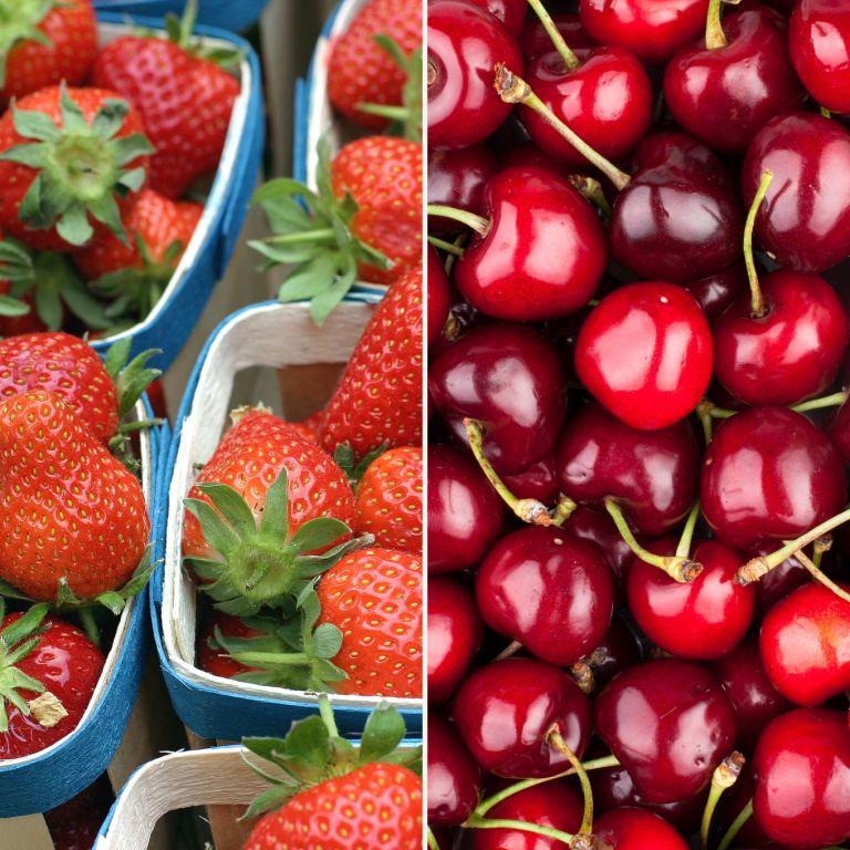 Cerises & fraises Magnum/Cléry