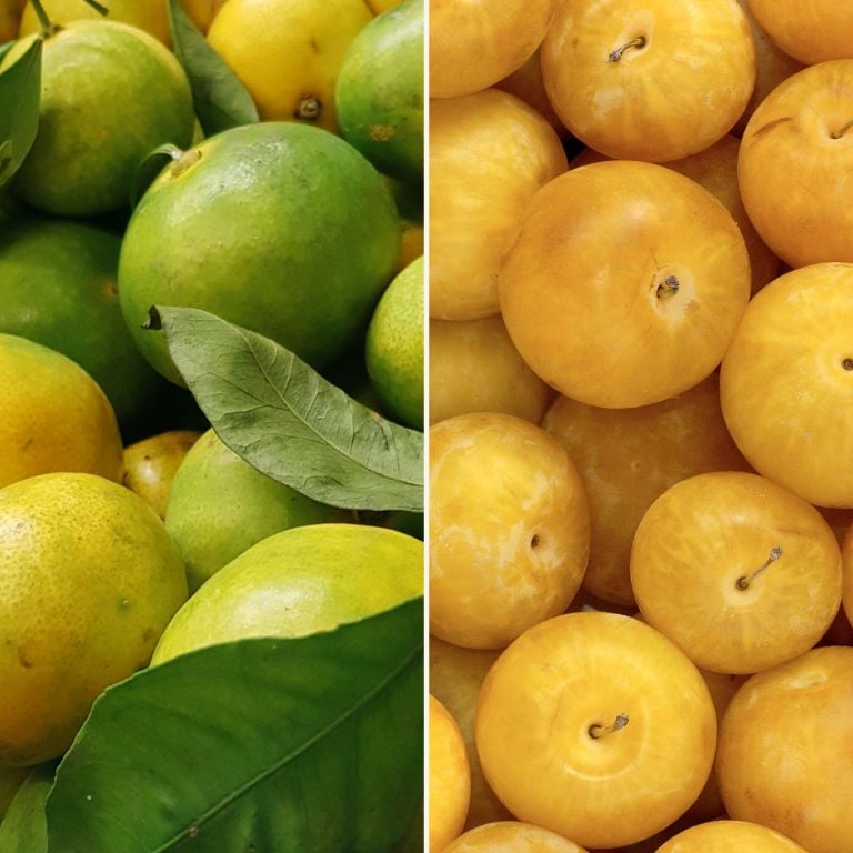 Prunes TC Sun & mandarines Satsuma