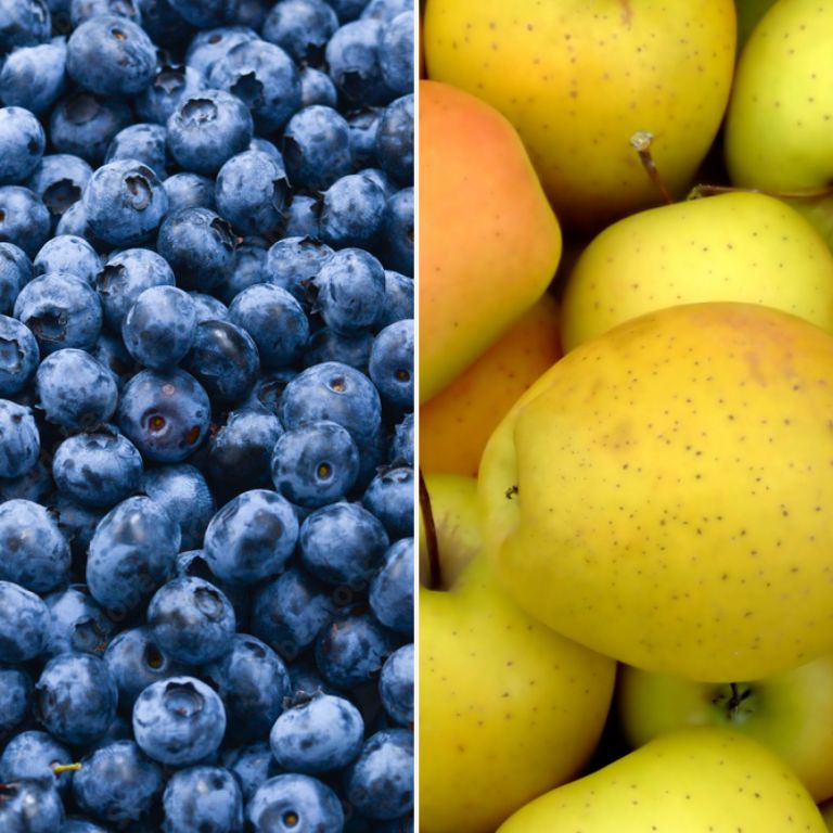 Myrtilles & pommes