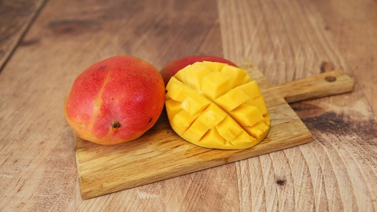 Mangue bio