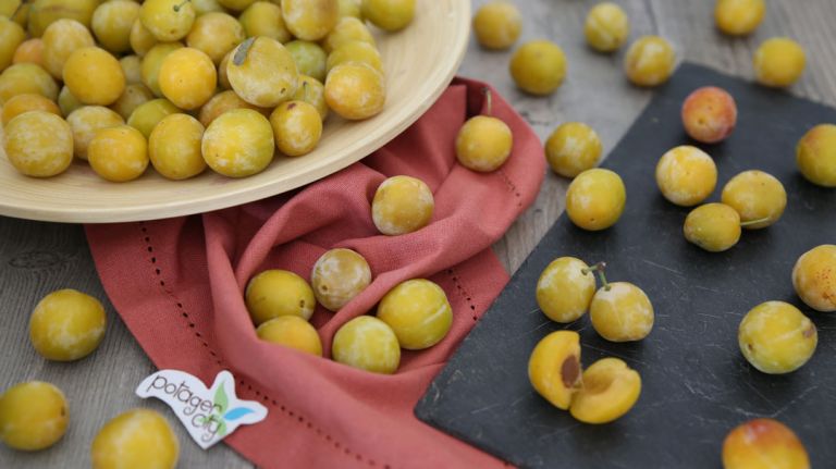 Pêches, prunes Mirabelle et framboises