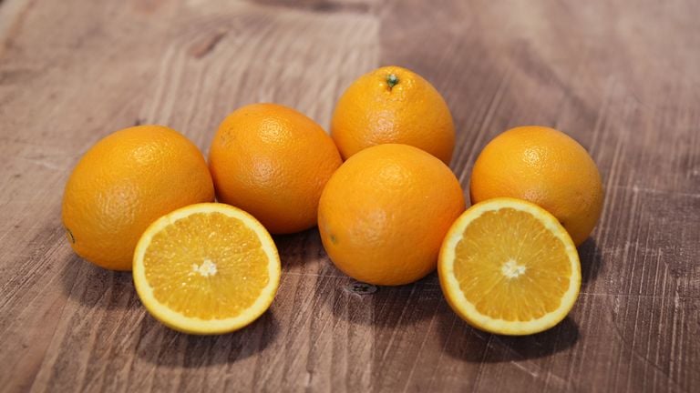 Oranges bio - 1,6 kg