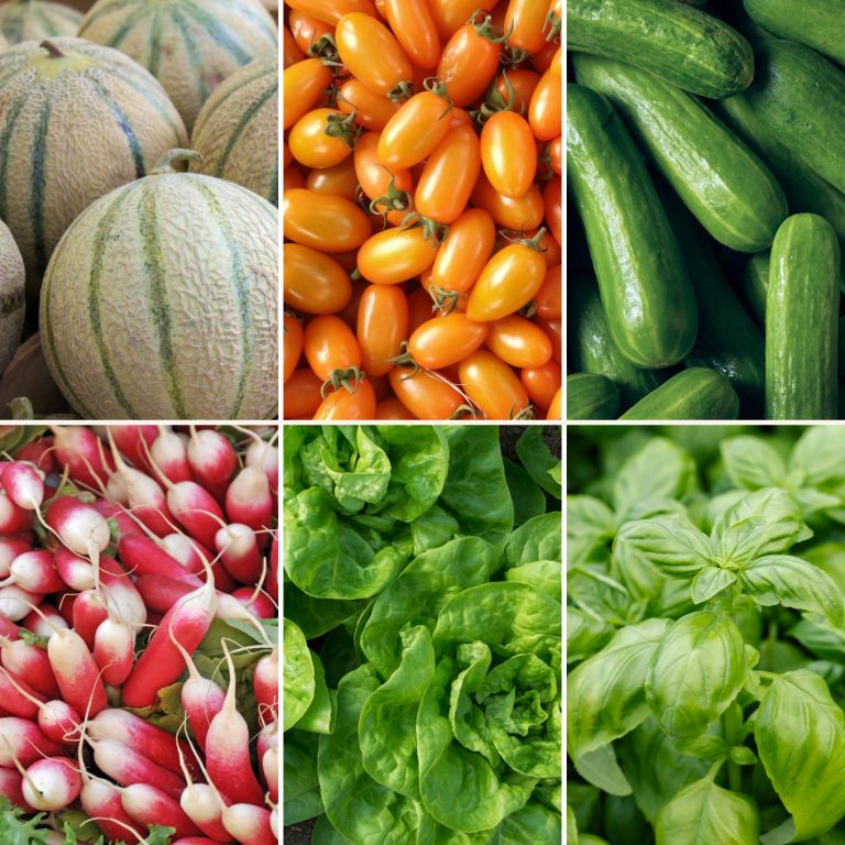Panier de fruits & légumes de saison