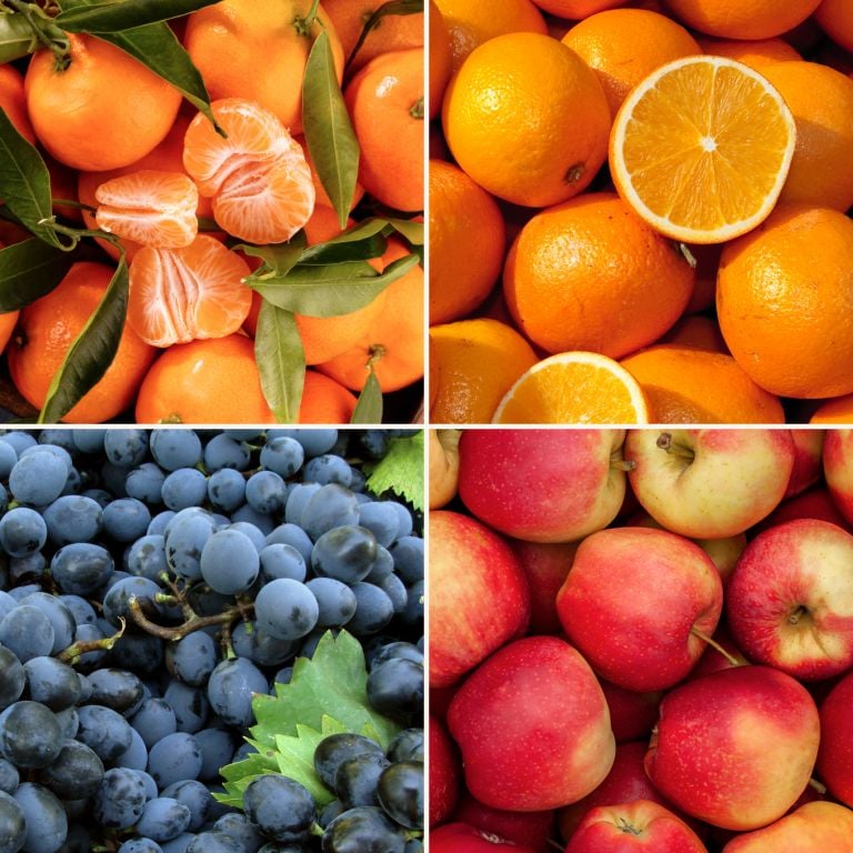 Panier de fruits de saison