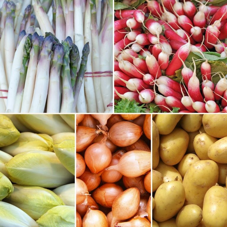 Panier de légumes de saison