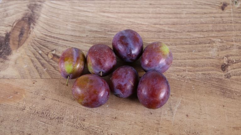Prunes Quetsche