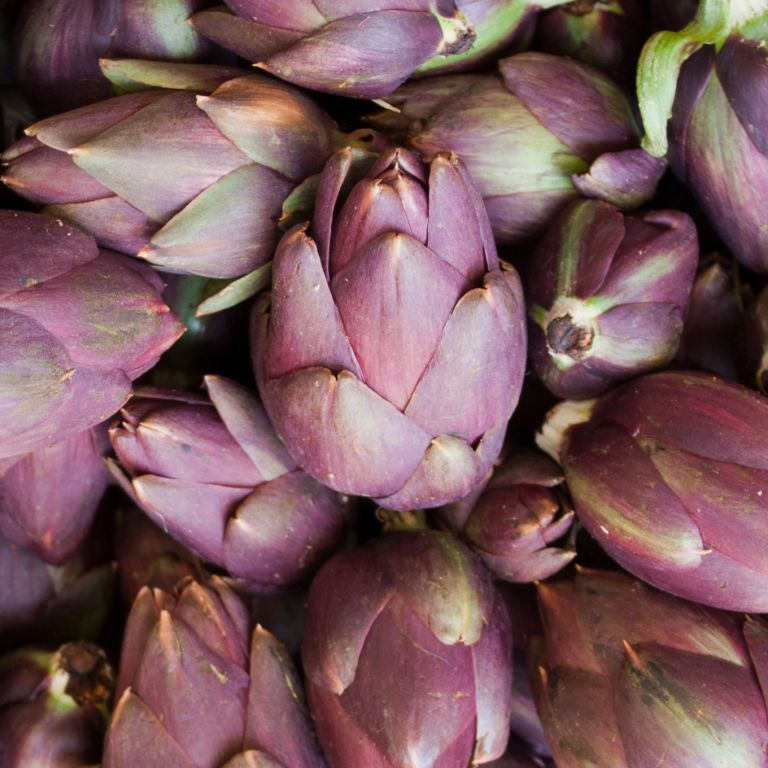 Artichauts violets
