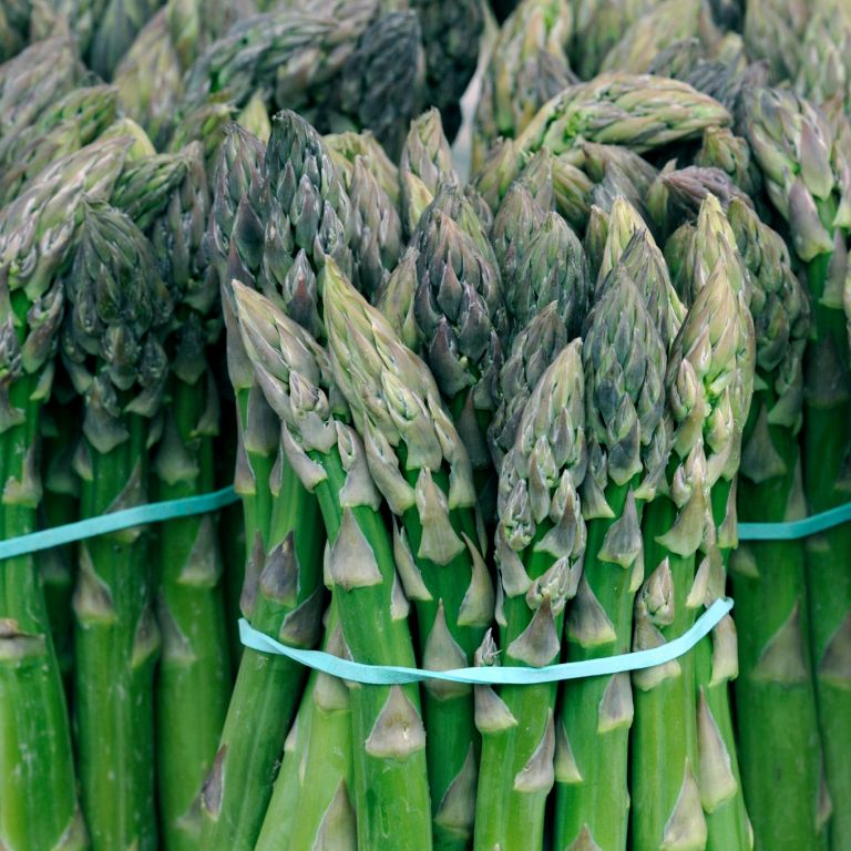 Asperges vertes
