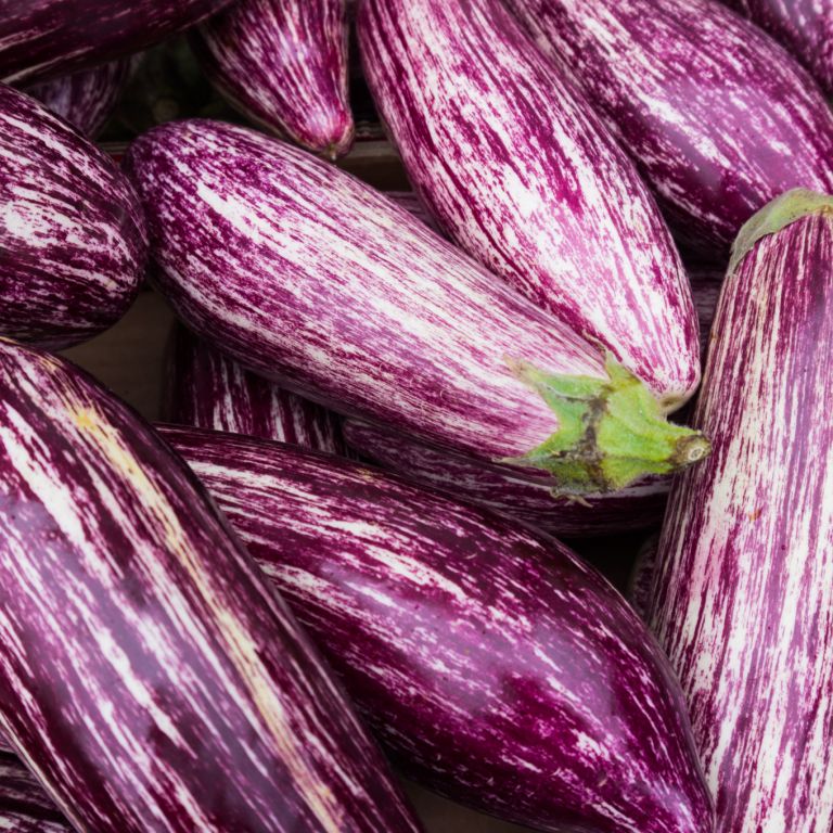 Aubergines Graffiti anti-gaspi