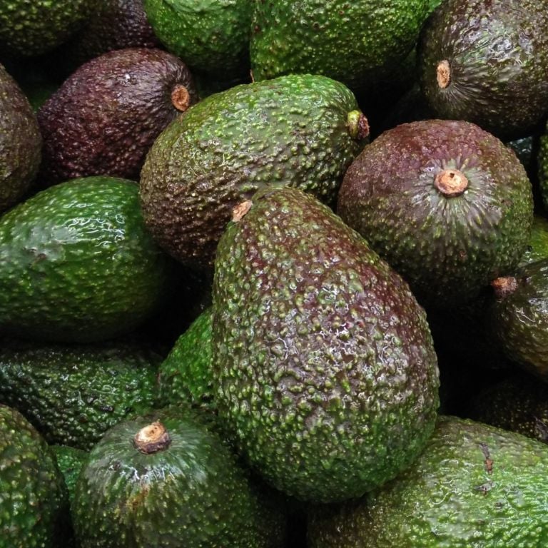Avocats Hass - 2 pièces