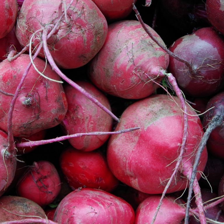 Betteraves rouges crues