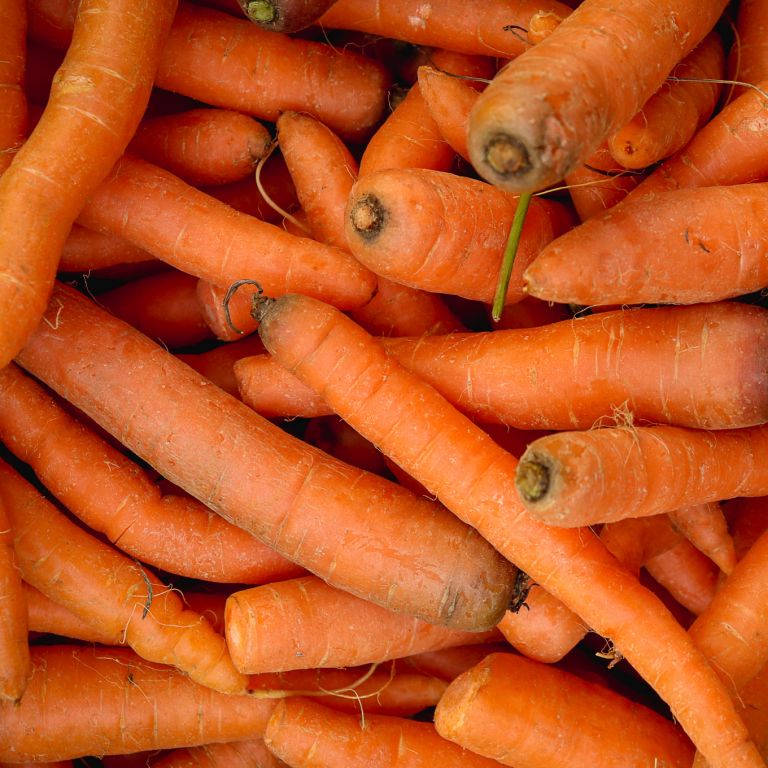 Carottes lavées