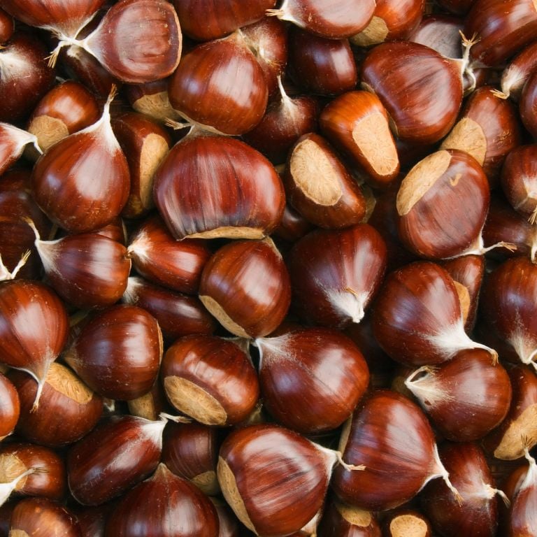 Châtaignes