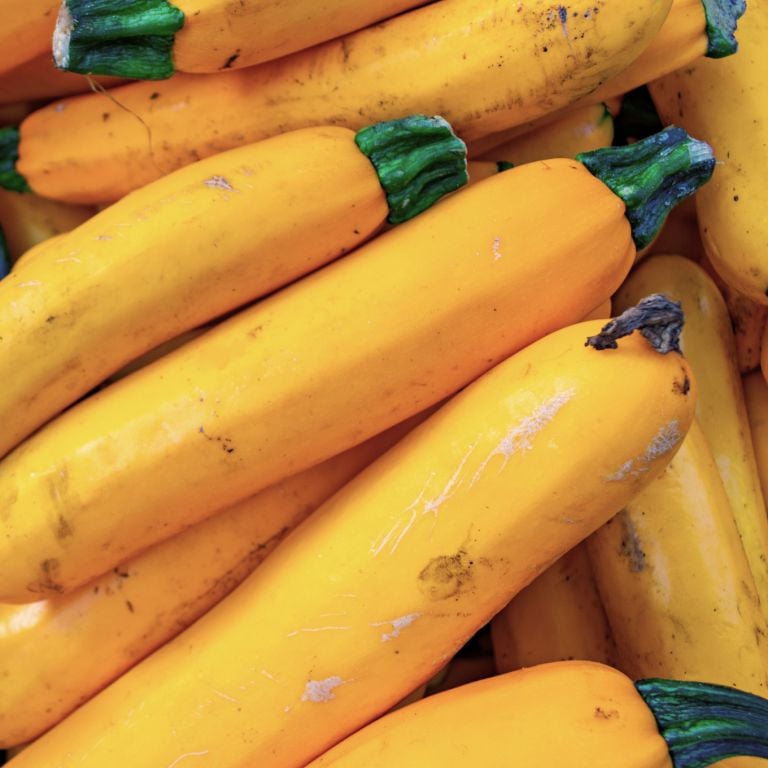Courgettes jaunes