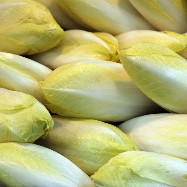 Endives