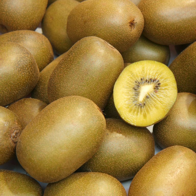 Kiwis jaunes - 4 pièces