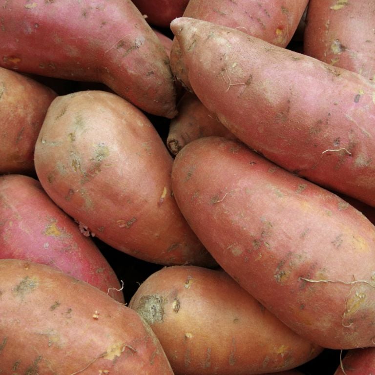 Patates douces