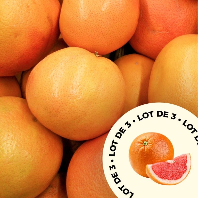 Pomelos de Corse - le lot de 3
