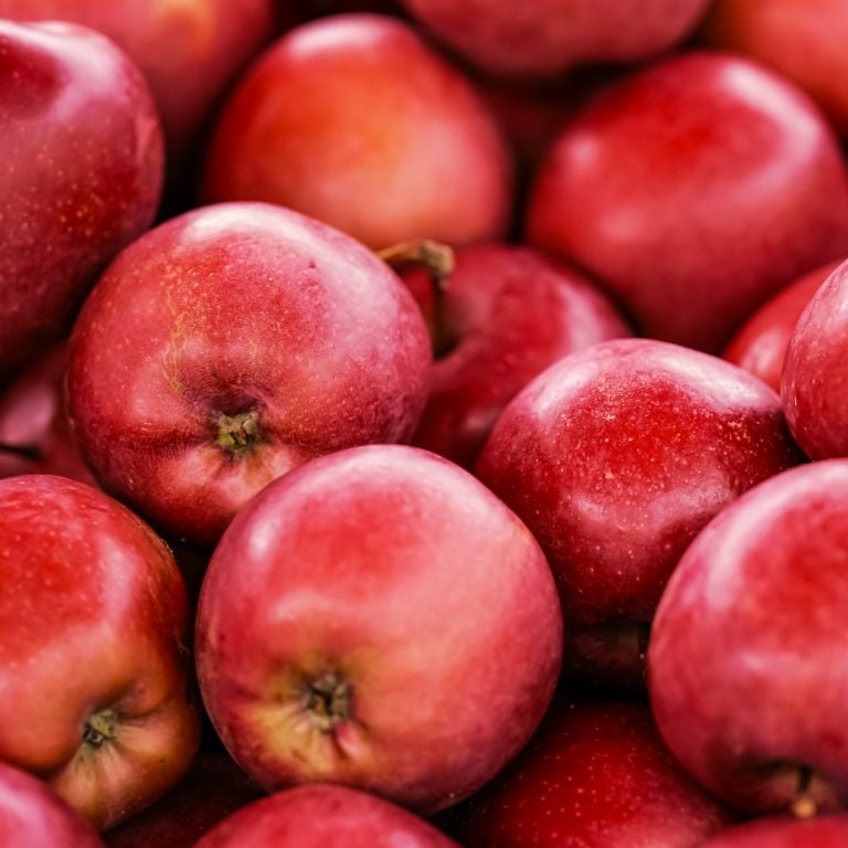 Pommes Story