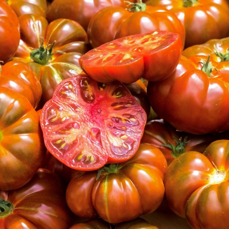 Tomates anciennes Coeur de boeuf