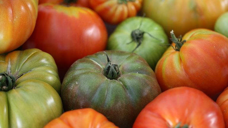 Tomates box