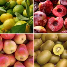 Panier de fruits de saison