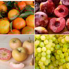 Panier de fruits de saison