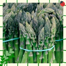 Asperges vertes