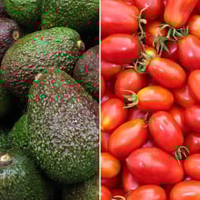 Avocats et tomates cerises allongées