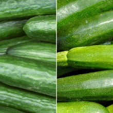 Concombres et courgettes Concombres et courgettes