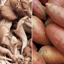 Pleurotes & Patates douces