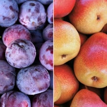 Prunes président et poires williams rouge