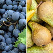 Raisin muscat et poires conférences