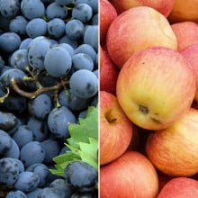 Raisin de Muscat et pommes Gala