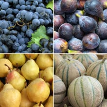 Panier de fruits de saison
