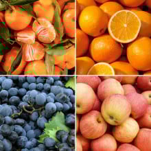 Panier de fruits de saison