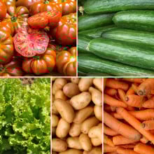 Panier de légumes de saison