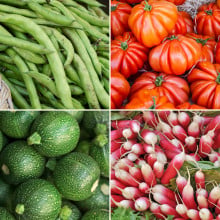 Panier de légumes de saison