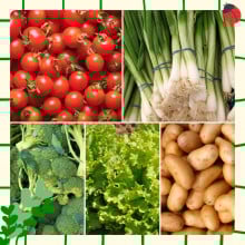 Panier de légumes de saison