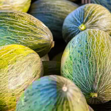 Melon Sapo