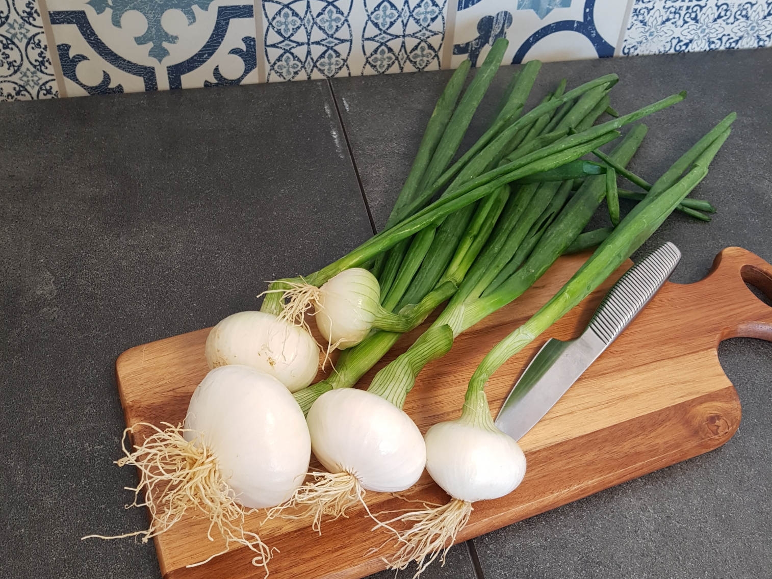 Oignons nouveaux blancs