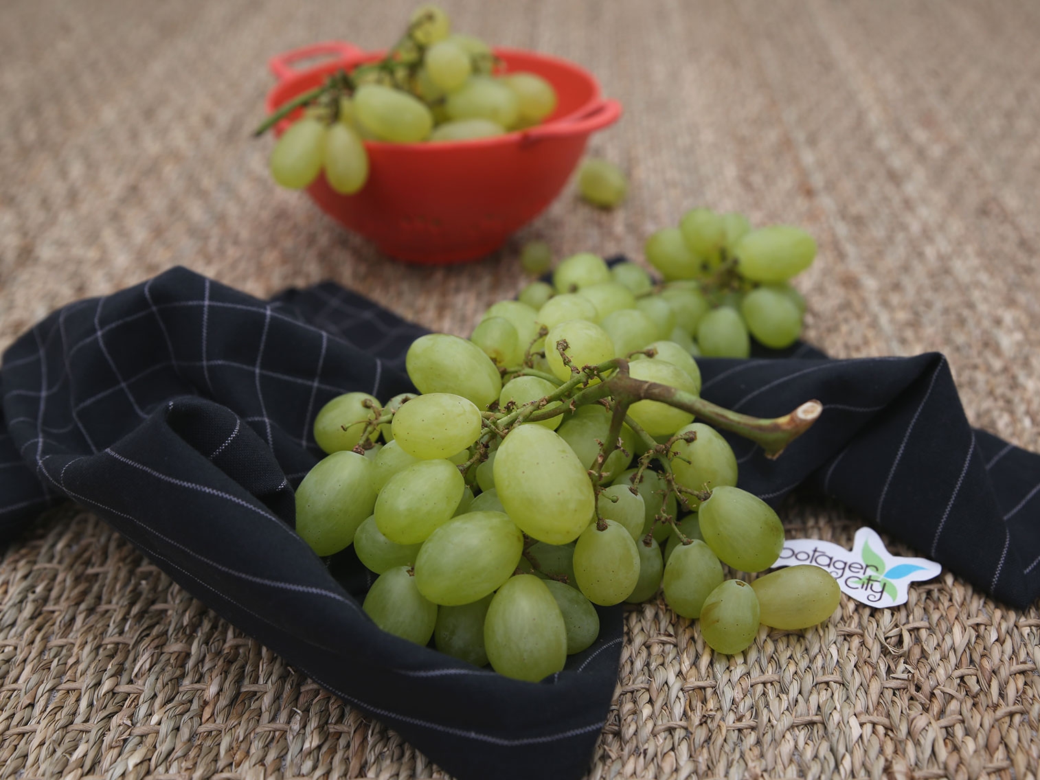 Raisins blanc Centennial (sans pépin)
