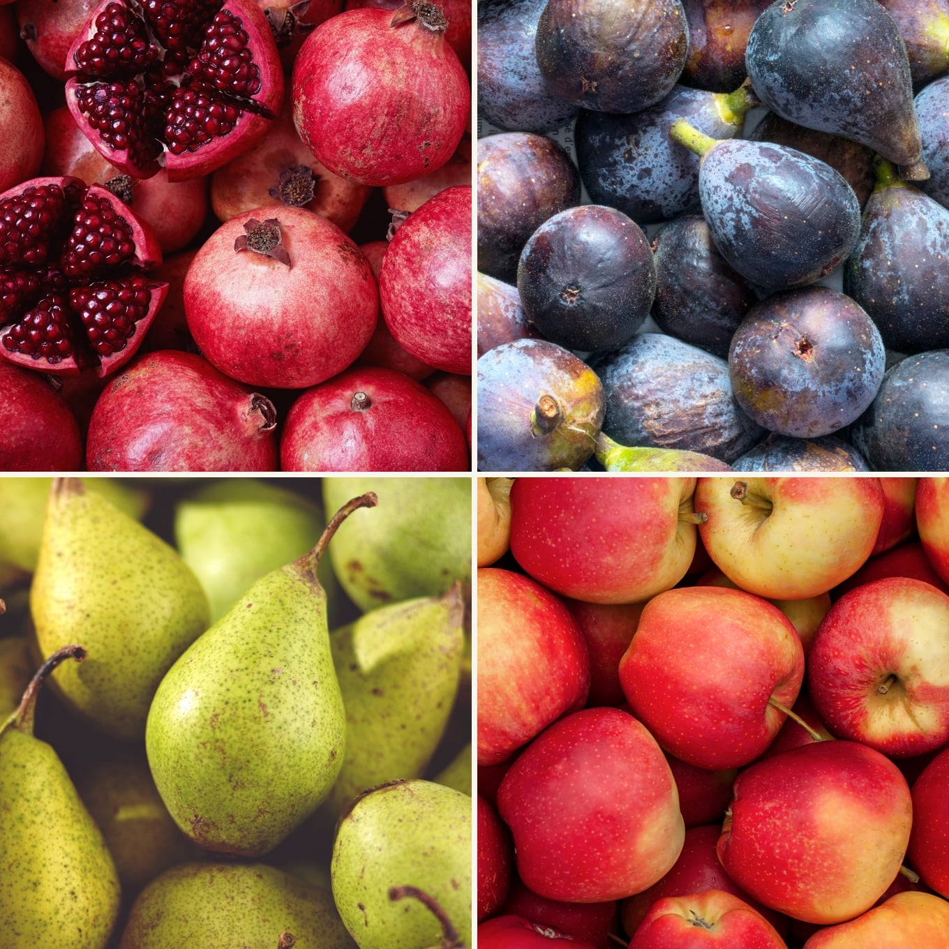 Panier de fruits de saison
